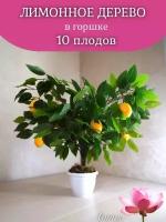 Декоративное дерево лимон 10 плодов от бренда "Лотос"