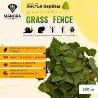 Натуральные листья березы для террариума Grass Fence сушеные 250 мл, из Сибирской тайги, грунт, травяное лакомство, укрытие для змей, насекомых