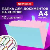 Папка-органайзер на кнопке 12 отделений, Brauberg Extra, А4, голубая с розовым, 271932