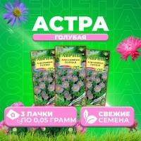 Астра альпийская голубая, 0,05г, Гавриш, Альпийская горка (3 уп)