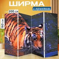 Ширма перегородка с принтом "Животное, большой, кошка" на холсте - 200x160 см. для зонирования, раскладная