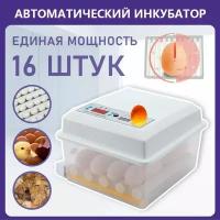 Домашний полностью автоматический инкубатор умных яиц