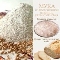 Мука из пророщенной пшеницы, цельнозерновая, ПикАктив,1 кг