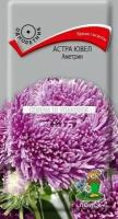 Семена 10 упаковок! Астра ювел Аметрин 0,2г Одн 75см (Поиск)