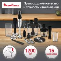 Погружной блендер Moulinex DD95MD10, черный/серебряный