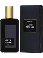 BROCARD Color Feeling Black туалетная вода 100 ml