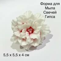 Силиконовая форма для мыла Кларкия 3D, для свечей гипса 1шт 5,5 x 5,5 х 4 см