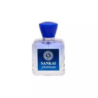 Bi-Es парфюмерная вода Sankai Platinum