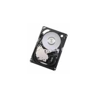 Жесткий диск HGST 450 ГБ HUS154545VLS300