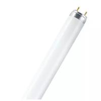 Лампа люминесцентная OSRAM Lumilux L 827, G13, T8