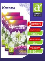 Семена Клеома Белая королева Однолетние 0,3 гр. х 3 шт