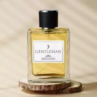 Parfums Constantine туалетная вода Gentleman №3, 100 мл