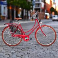 Велосипед Amsterdam Aist 28" красный с коричневыми колесами, с сеткой от попадания платья