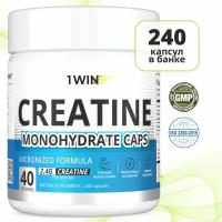Креатин моногидрат 1WIN в капсулах Creatine Monohydrate, 240 капсул, спортивное питание для набора массы тела