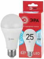 ЭРА LED A65-25W-840-E27 R ЭРА (диод, груша, 25Вт, нейтр, E27) (10/100/1200)