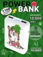 Мобильные ЗУ RITMIX RPB-10007 Corgi