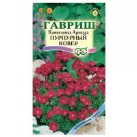 Камнеломка Арендса Пурпурный Ковер 0,01г Мн 15см (Гавриш) Альпийская горка - 10 пачек семян