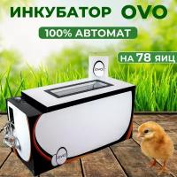 Инкубатор OVO до 78 яиц (100% автомат)