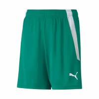 Шорты игровые детские Puma teamLIGA Shorts, рост 116 см