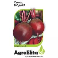 Семена Гавриш AgroElita Свекла Модана 1 г