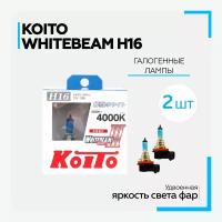 Комплект автомобильных ламп для фар "H16" KOITO WhiteBeam III, галогеновая, 12В, 19Вт, 4000К, 2 штуки
