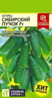 Огурец "Семена Алтая" Сибирский Пучок F1 5шт