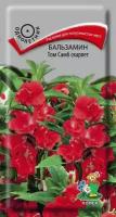 Бальзамин Том Самб Скарлет однол. 0,1гр. (Поиск)