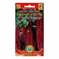 Семена Амарант хвостатый "Красный водопад", 0.3 г