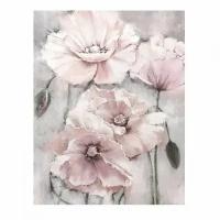 Картина по номерам Molly Розовые маки, холст на подрамнике, 40 х 50 см