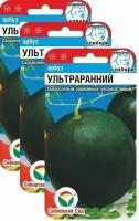 Семена Арбуз Ультраранний 10 шт (семян)(Сибирский сад), 3 пакетика * 10 шт