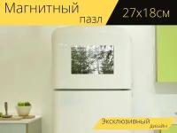 Магнитный пазл "Туманный, лес, туман" на холодильник 27 x 18 см