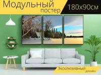 Модульный постер "Зимний пейзаж, деревья, березы" 180 x 90 см. для интерьера