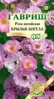 Роза китайская Крылья ангела 5шт серия Элитная клумба