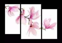 Модульная картина на холсте | Diva Kartina | Цветы. Магнолия | 70X49 см