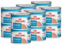 Влажный корм для кормящих собак и щенков Royal Canin Starter Mousse 1 уп. х 12 шт. х 195 г