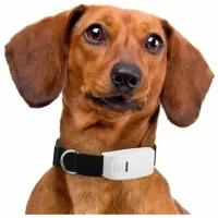 GPS трекер ошейник для домашних животных Ultra TR 909 / ошейник для собак / найти собаку через ошейник