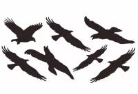 Наклейки-стикеры: силуэты хищных птиц (21 x 30) см - V7