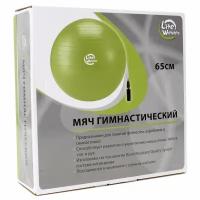 Мяч гимнастический Lite Weights 65см. с насосом Green