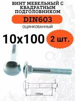 DIN603 М10х100 винт мебельный с квадратным подголовником, 2 шт