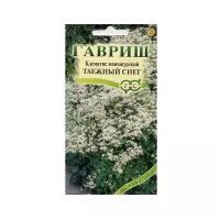 Семена Гавриш Лесной уголок Клематис маньчжурский Таежный снег 0,05 г