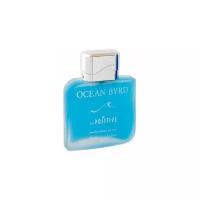 Парфюмерная вода Positive Parfum Ocean BYRD edt 100ml