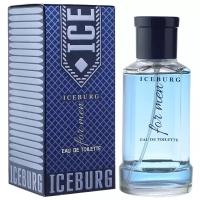 XXI CENTURY туалетная вода IceBurg for men