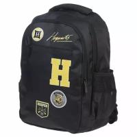 Рюкзак молодёжный, 41 х 30 х 15 см, Hatber Basic Style чёрный NRk_89128