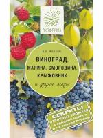 Виноград, малина, смородина, крыжовник и другие ягоды