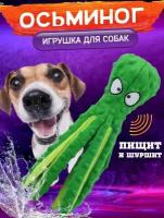 Мягкие игрушки для собак шуршащие, осьминог зеленый