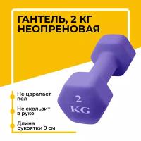 Шестиугольная гантель 2 кг, фиолетовая