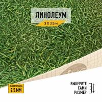 Линолеум напольный на отрез IVC, коллекции Neo, "Grass 025". Бытовой линолеум 3х3,5 для пола в рулоне 22 класса