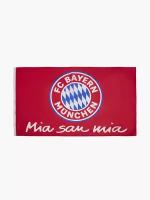 Флаг Футбольный клуб Bayern Бавария Mia san mia