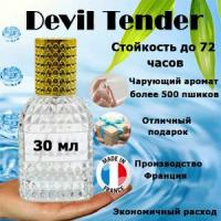 Масляные духи Devil Tender, женский аромат, 30 мл