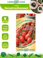 Семена Томат Каскад рубиновый - Семена от автора 0,1 гр